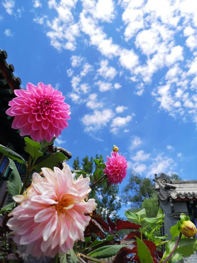 Chengde Kai Ren Hua Fu Inn Bi Shu Shan Zhuang Dian Buitenkant foto